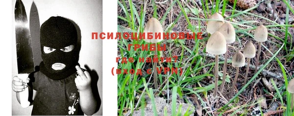 дживик Корсаков