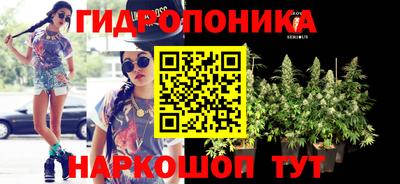 гашиш Гатчина