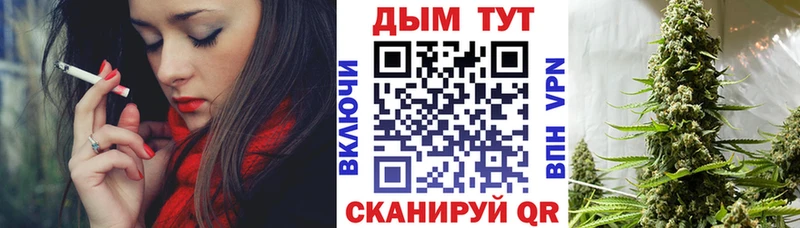 Бошки марихуана Amnesia  Златоуст 